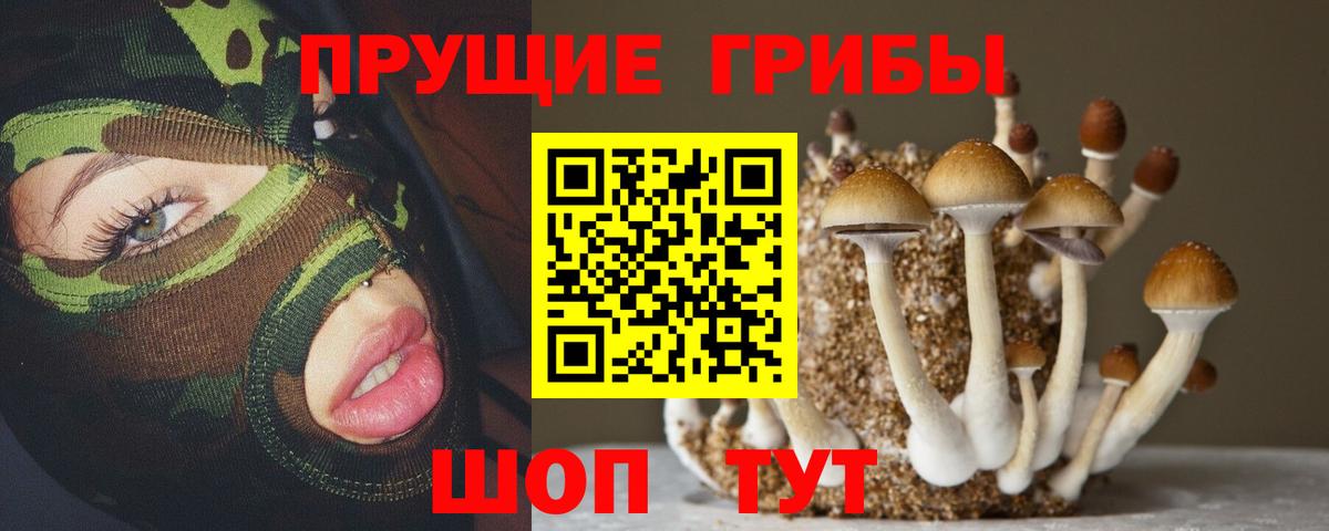 Псилоцибиновые грибы GOLDEN TEACHER Гудермес